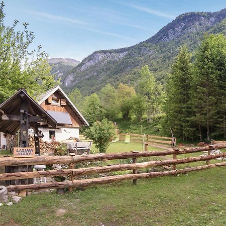 Lizina Hiska House Bohinj Βίλα Bohinjska Bistrica Εξωτερικό φωτογραφία