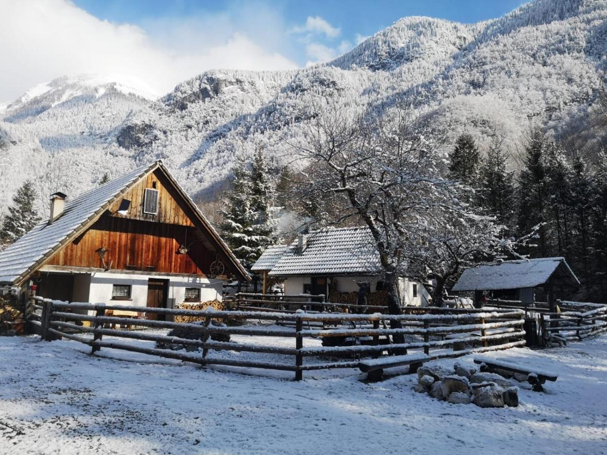 Lizina Hiska House Bohinj Βίλα Bohinjska Bistrica Εξωτερικό φωτογραφία