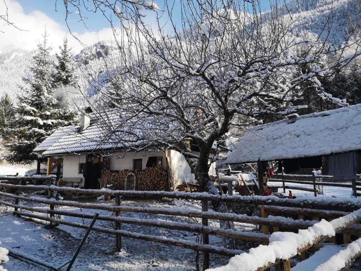Lizina Hiska House Bohinj Βίλα Bohinjska Bistrica Εξωτερικό φωτογραφία