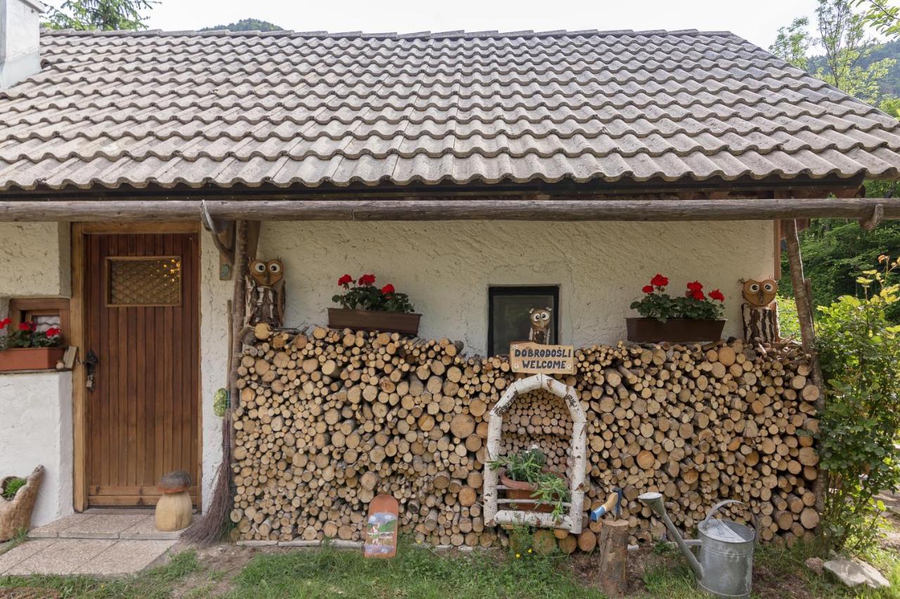 Lizina Hiska House Bohinj Βίλα Bohinjska Bistrica Εξωτερικό φωτογραφία