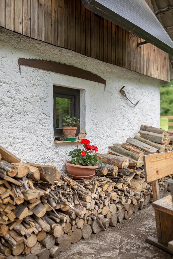 Lizina Hiska House Bohinj Βίλα Bohinjska Bistrica Εξωτερικό φωτογραφία