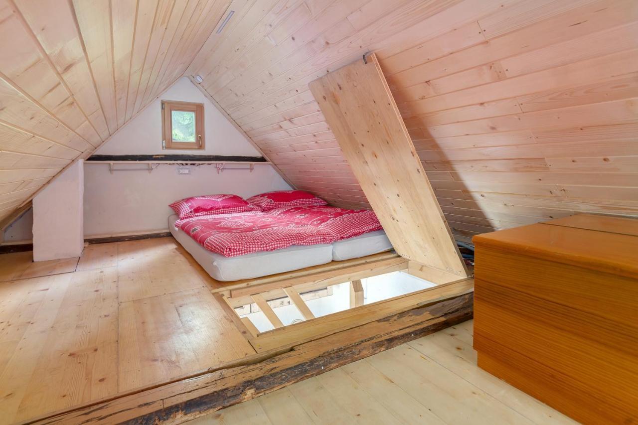 Lizina Hiska House Bohinj Βίλα Bohinjska Bistrica Εξωτερικό φωτογραφία