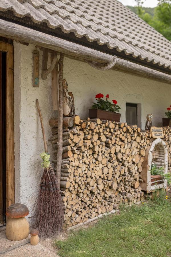 Lizina Hiska House Bohinj Βίλα Bohinjska Bistrica Εξωτερικό φωτογραφία