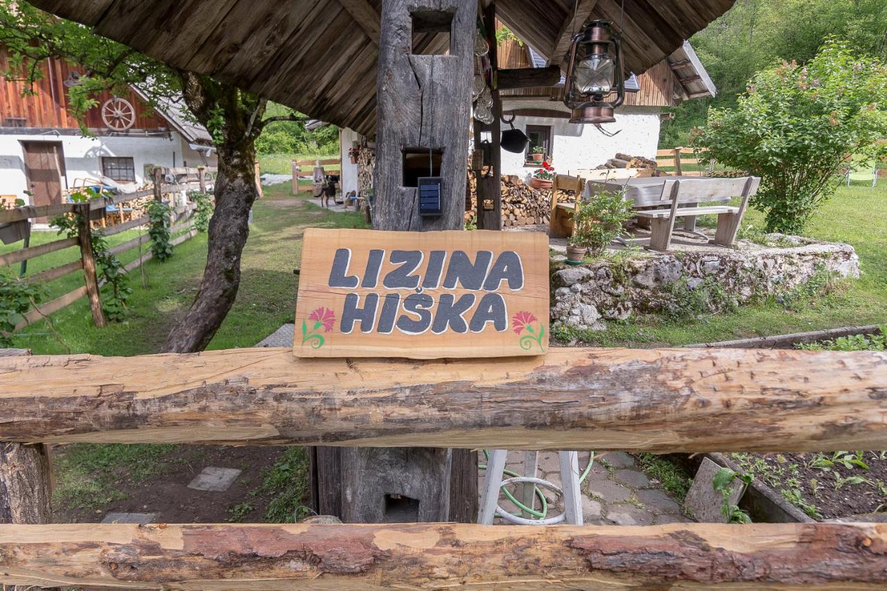 Lizina Hiska House Bohinj Βίλα Bohinjska Bistrica Εξωτερικό φωτογραφία
