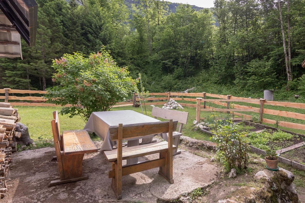 Lizina Hiska House Bohinj Βίλα Bohinjska Bistrica Εξωτερικό φωτογραφία